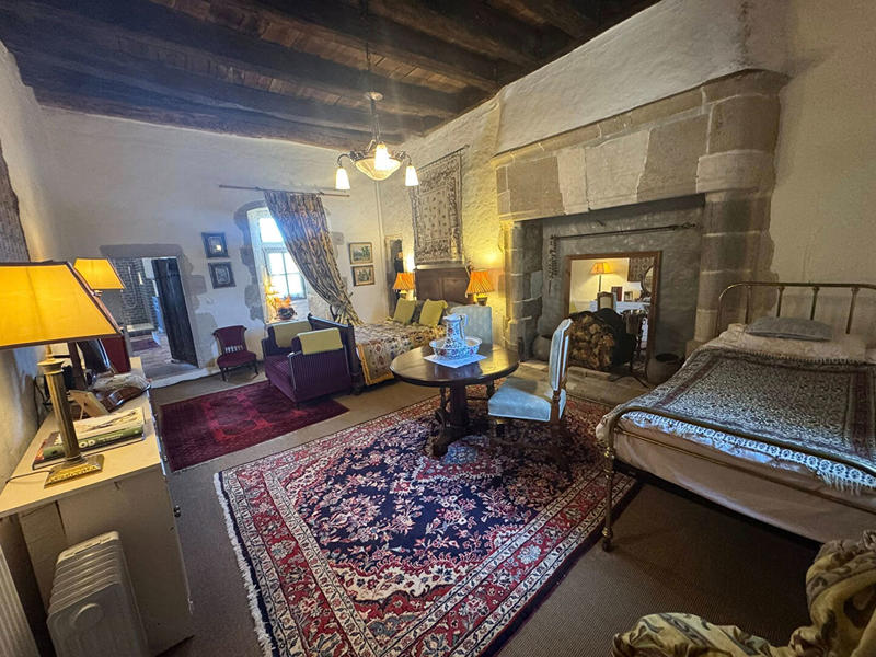 Château - 197 m² - 11 pièces