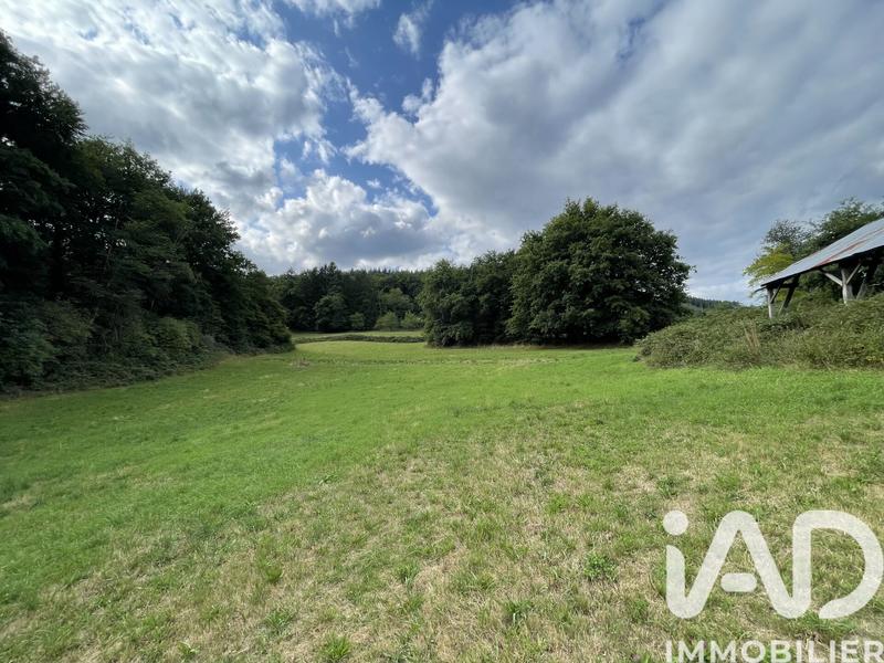 Ferme - 85 m² - 5 pièces