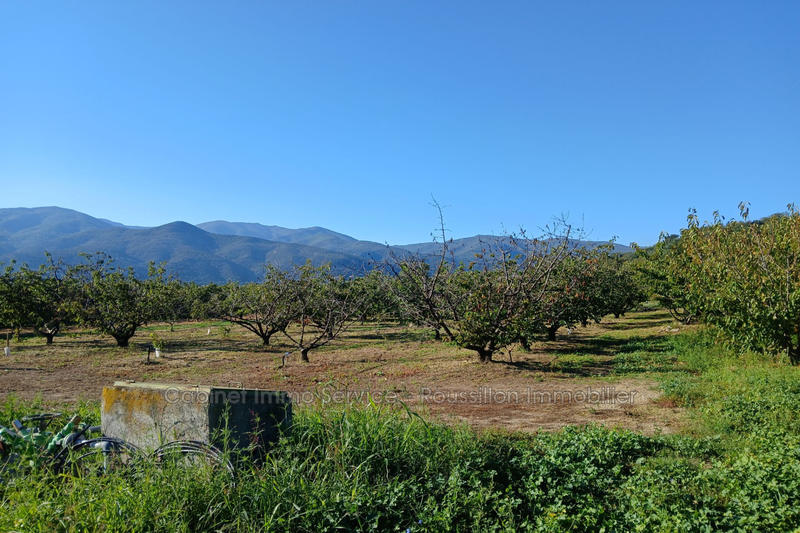 Terrain agricole - 7 121 m²