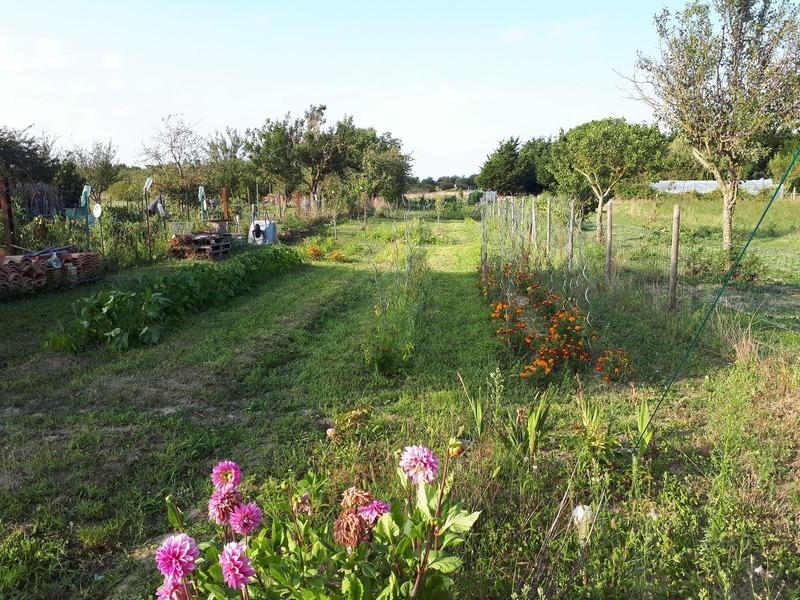 Maison de village - 75 m² - 3 pièces