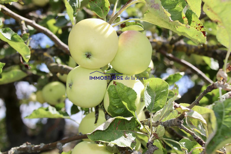 Maison - 78 m² - 4 pièces