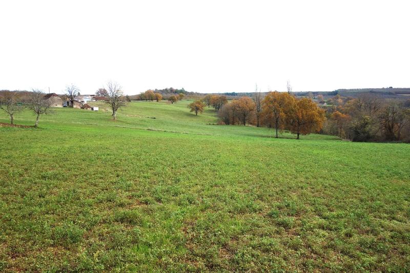 Terrain - 13 556 m²