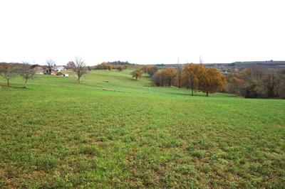 Terrain - 13 556 m²