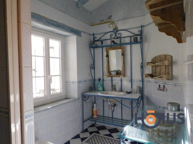 Viager - Maison ancienne - 367 m² - 14 pièces