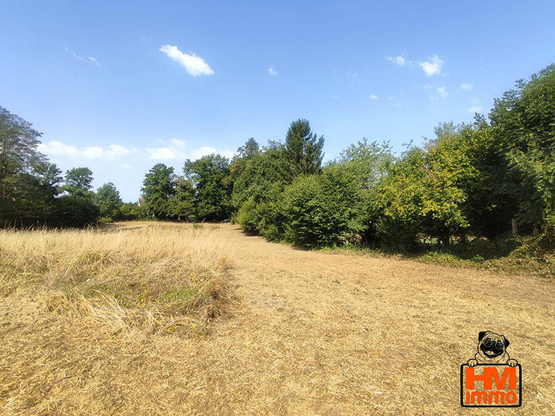 Terrain - 3 644 m²