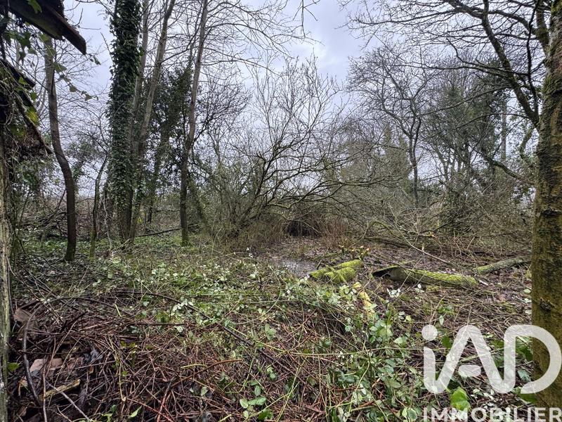 Maison - 100 m² - 2 pièces