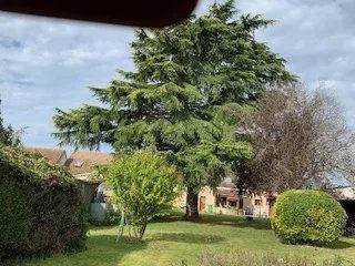 Viager - Maison - 130 m² - 5 pièces