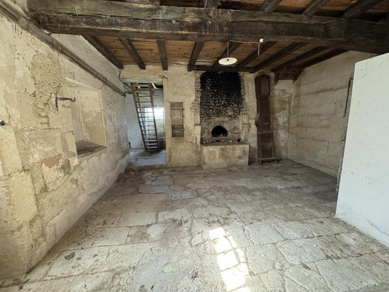 Manoir - 400 m² - 14 pièces