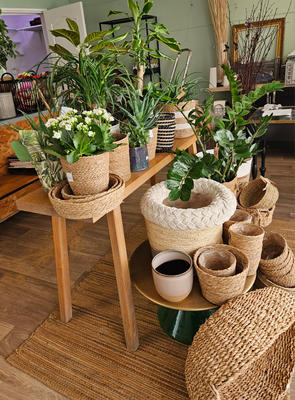 Local commercial - 36 m²