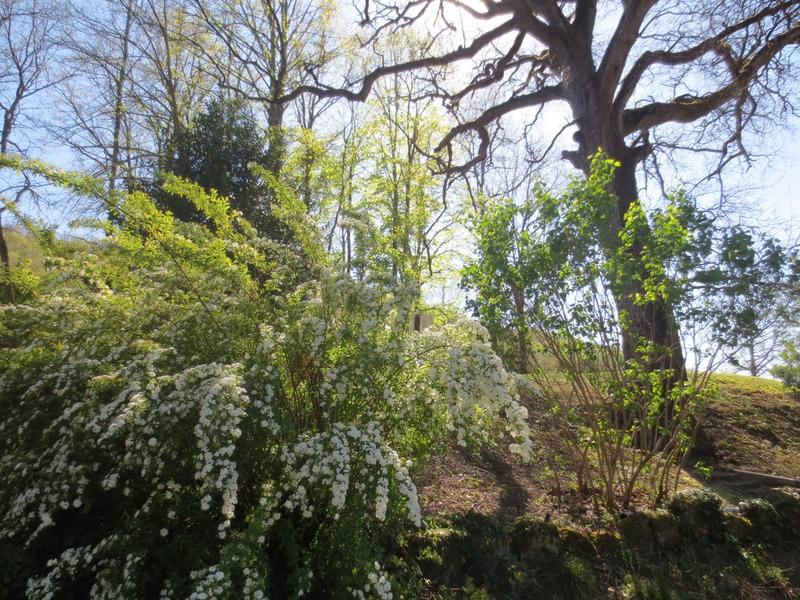 Maison - 345 m² - 12 pièces