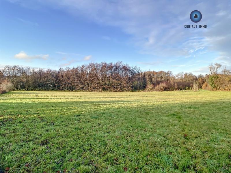 Terrain - 11 780 m²