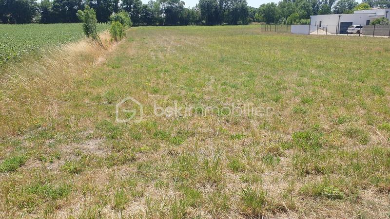 Terrain agricole - 5 685 m²