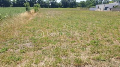 Terrain agricole - 5 685 m²