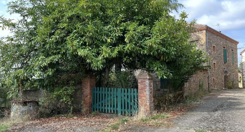 Maison - 300 m² - 7 pièces