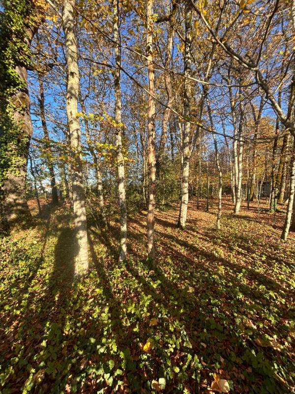 Terrain constructible - 4 176 m²