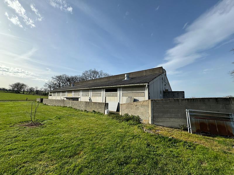 Local d'activité / Entrepôt - 4 518 m²