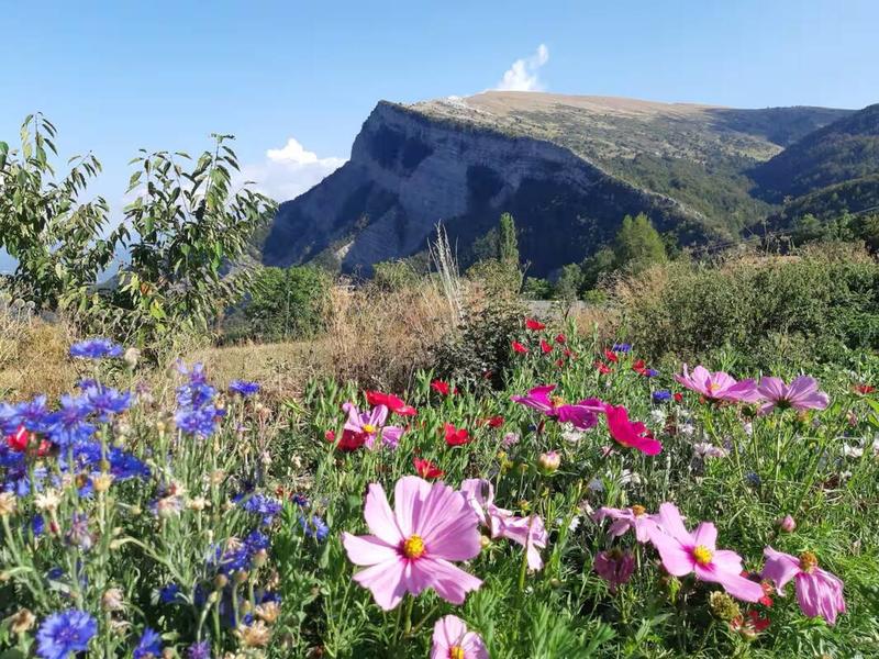 Propriété - 409 m² - 21 pièces