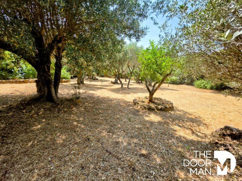 Maison - 39 m² - 2 pièces