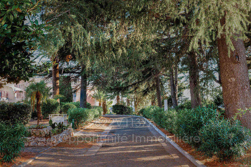 Appartement - 22 m² - 1 pièce