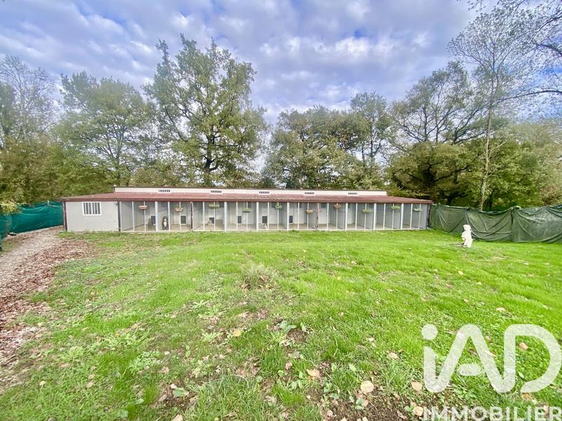 Maison - 183 m² - 6 pièces