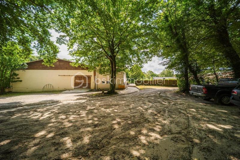 Maison de domaine équestre - 236 m² - 9 pièces