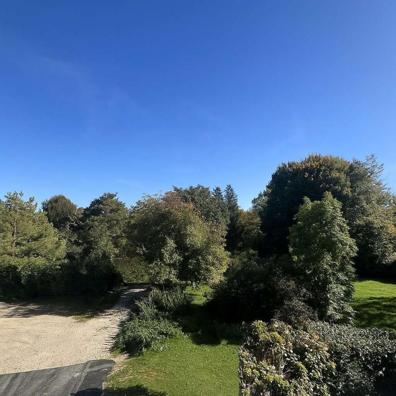 Studio - 24 m² - 1 pièce