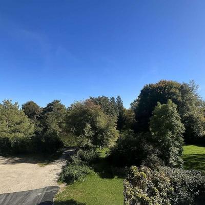 Studio - 24 m² - 1 pièce