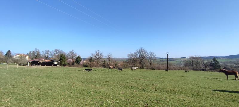 Maison - 117 m² - 4 pièces