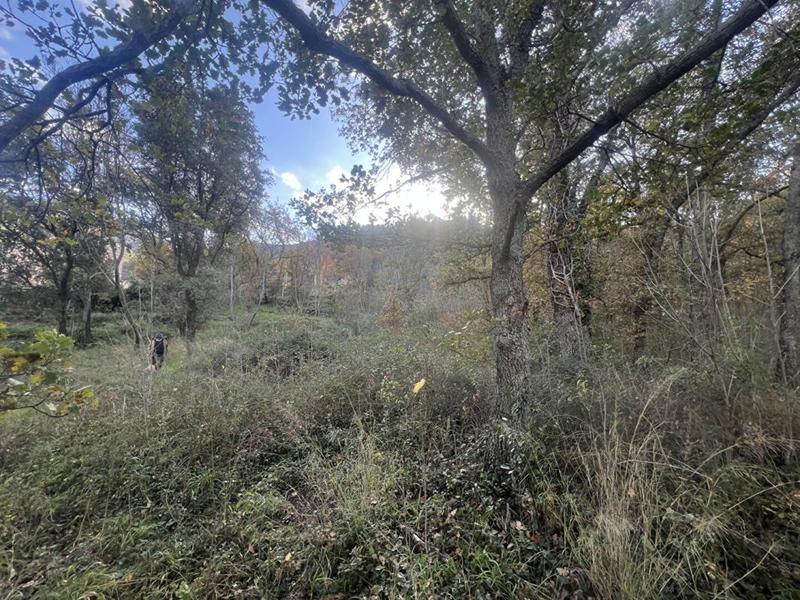 Terrain constructible - 2 000 m²