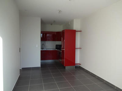 Studio - 35 m² - 1 pièce