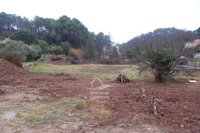 Terrain - 1 330 m²