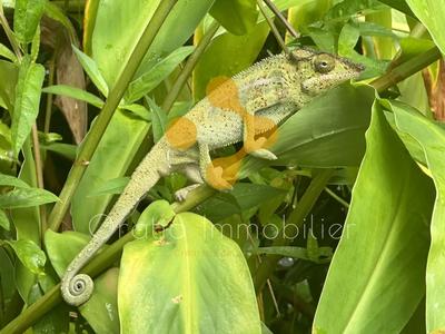 Maison chambre d'hôtes - 157 m² - 6 pièces