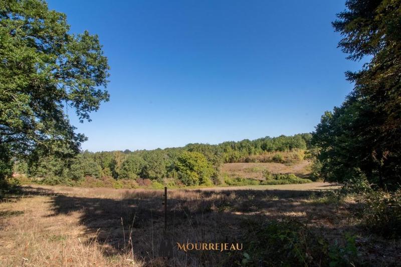 Propriété - 550 m² - 19 pièces