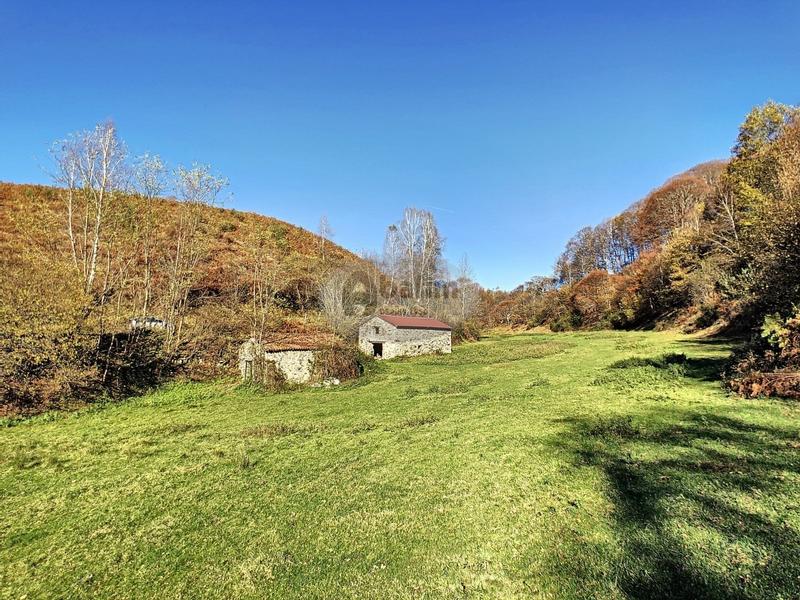 Maison - 135 m² - 3 pièces