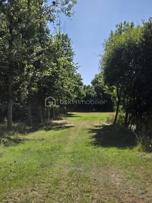 Terrain de loisirs - 45 907 m²