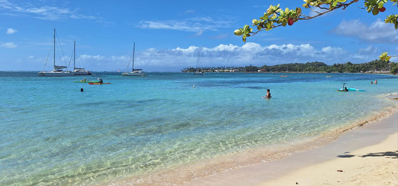 Appartement - 56 m² - 2 pièces