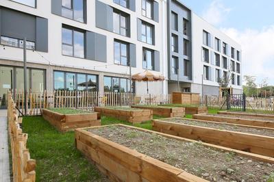 Studio - 19 m² - 1 pièce