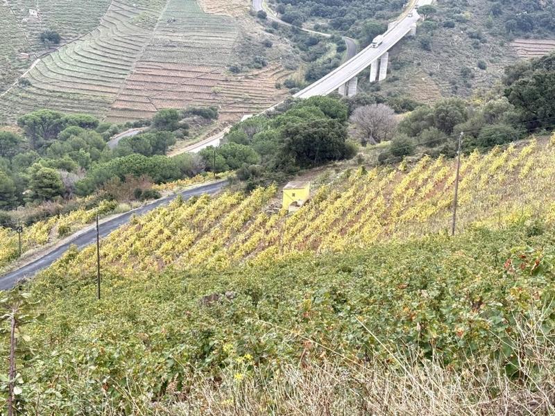 Terrain agricole - 7 500 m²