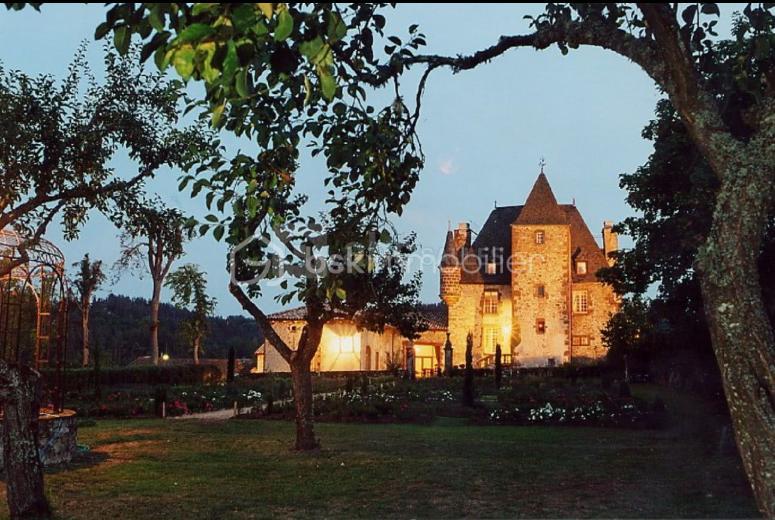 Château - 700 m² - 21 pièces