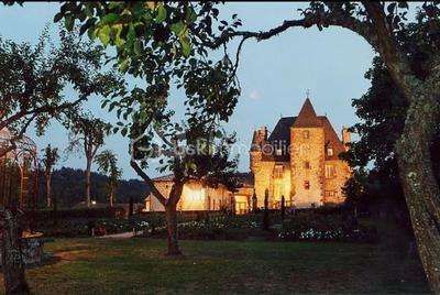 Château - 700 m² - 21 pièces