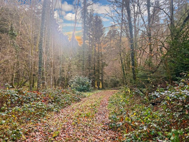 Terrain constructible - 3 197 m²