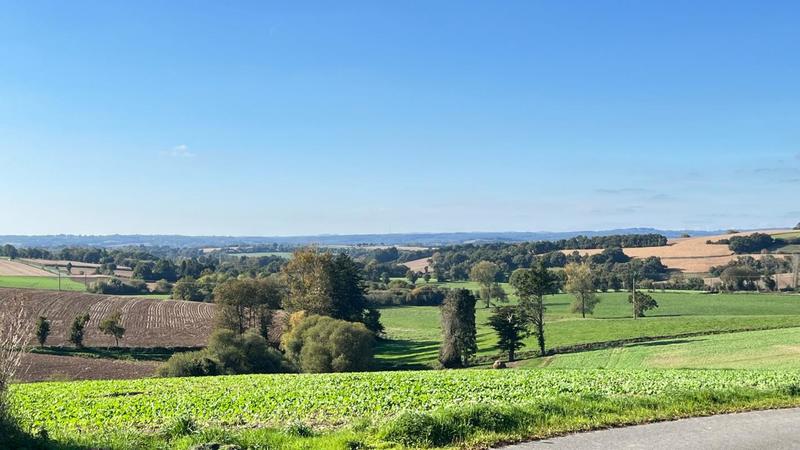 Maison - 47 m² - 2 pièces