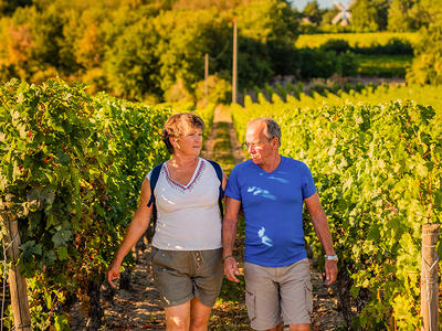 Journées gourmandes : Rando-grillades à la Chopinière du Roy