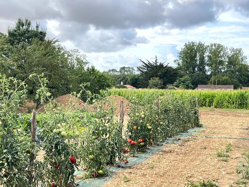 Maison - 119 m² - 5 pièces