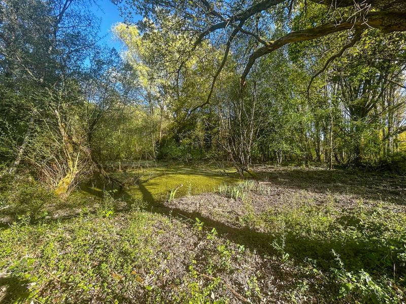 Terrain constructible - 6 804 m²