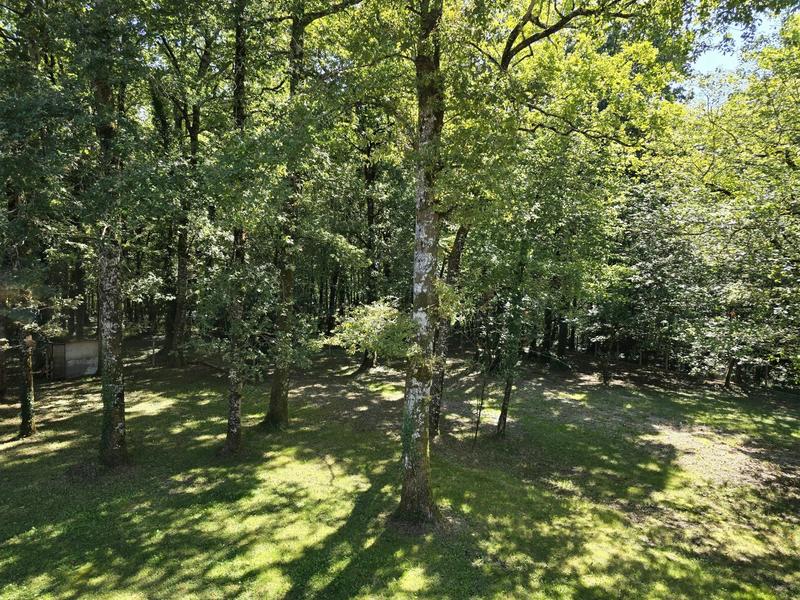 Maison - 315 m² - 10 pièces