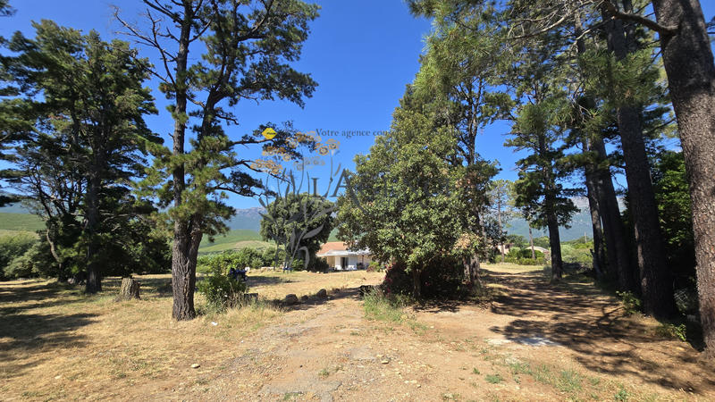 Maison - 135 m² - 4 pièces