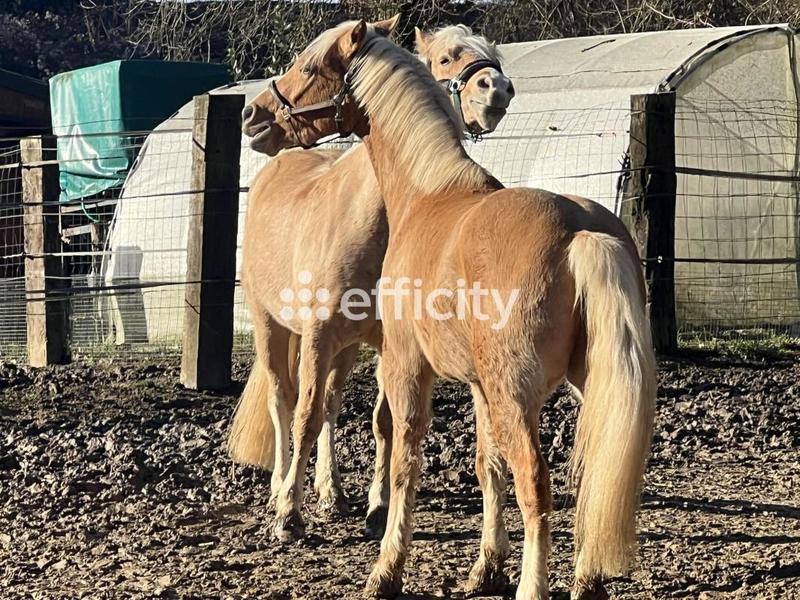 Maison - 132 m² - 7 pièces