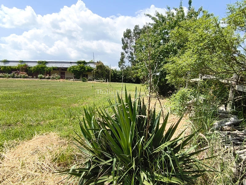 Propriété - 300 m² - 10 pièces