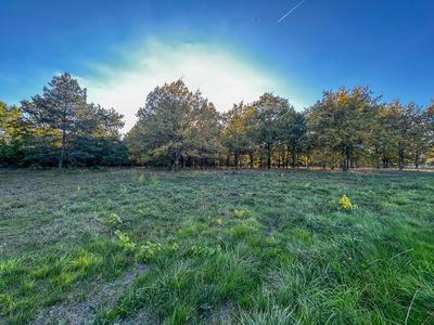 Terrain - 17 400 m²